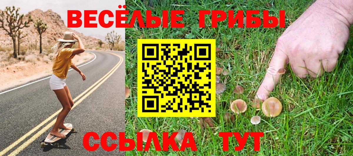 Галлюциногенные грибы Psilocybine cubensis Орёл